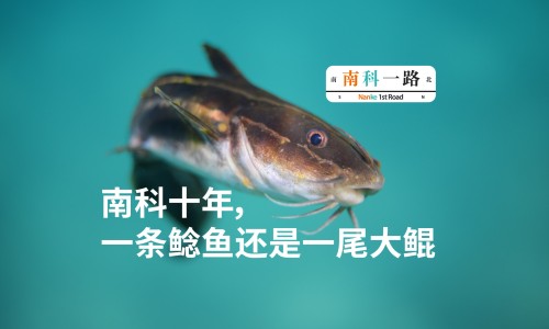 缬沙坦胶囊与厄贝沙坦片的区别-缬沙坦胶囊代理网 :分享缬沙坦分散片与胶囊哪个好-缬沙坦胶囊会引起心率加快吗知识